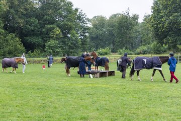 Bild 3 - Pony Akademie Turnier
